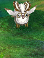 White Owlie